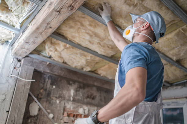 Best Affordable Insulation Services  in White Sulphur Springs, MT